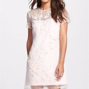Ted Baker London Sheer Pink Floral Mini Dress